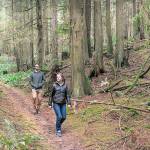 Bainbridge Island Land Trust launches new preservation effort