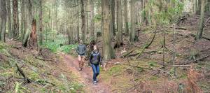 Bainbridge Island Land Trust launches new preservation effort