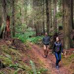 Bainbridge Island Land Trust launches new preservation effort
