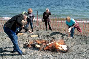 Out of the ashes | Photo of the day 5.5