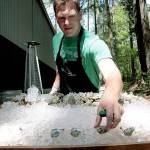 Step up and slurp | Photo of the day 5.6