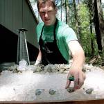 Step up and slurp | Photo of the day 5.6