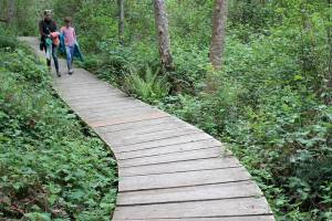 A walk in the woods in Winslow | Photo of the day 5.9