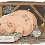 Today’s cartoon for Tuesday, May 15