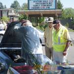 Hail the Scotch Broom Queen | Photo gallery