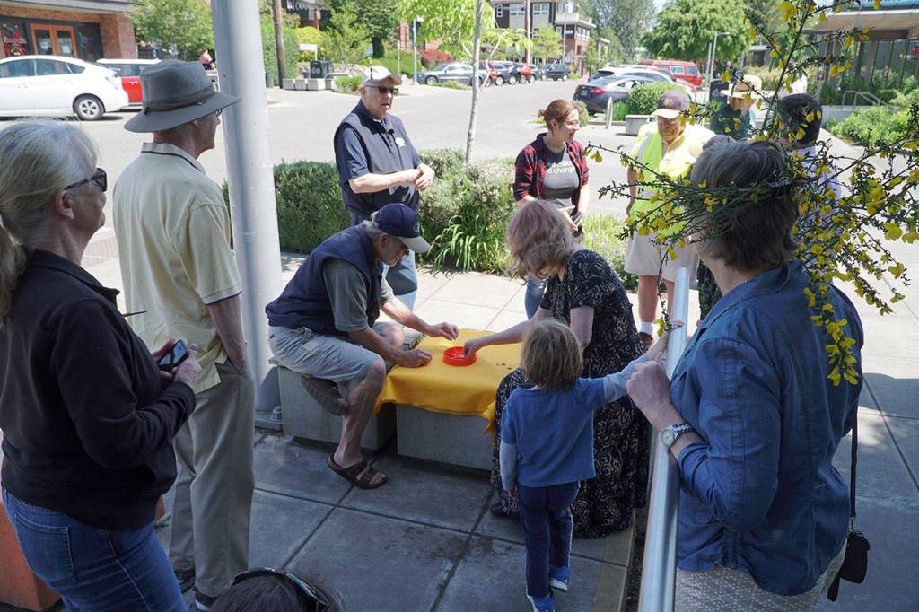 Hail the Scotch Broom Queen | Photo gallery