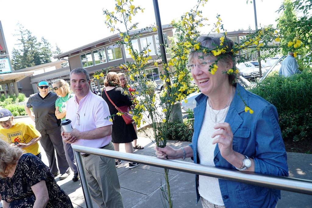 Hail the Scotch Broom Queen | Photo gallery