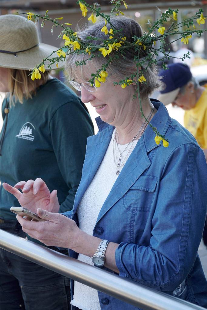 Hail the Scotch Broom Queen | Photo gallery