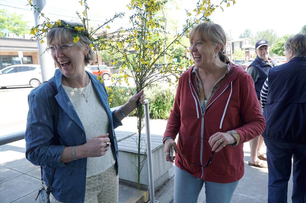 Hail the Scotch Broom Queen | Photo gallery