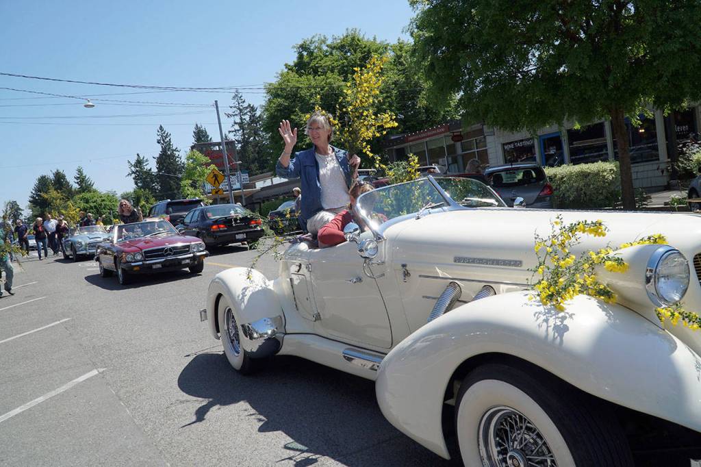 Hail the Scotch Broom Queen | Photo gallery