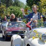 Hail the Scotch Broom Queen | Photo gallery