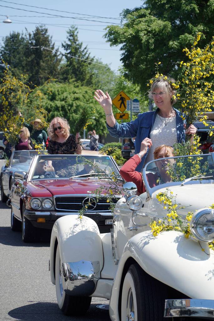 Hail the Scotch Broom Queen | Photo gallery