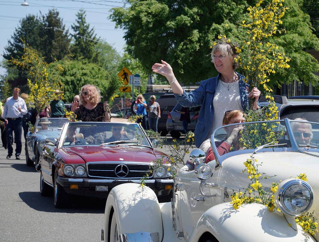 Hail the Scotch Broom Queen | Photo gallery
