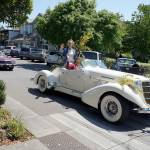 Hail the Scotch Broom Queen | Photo gallery