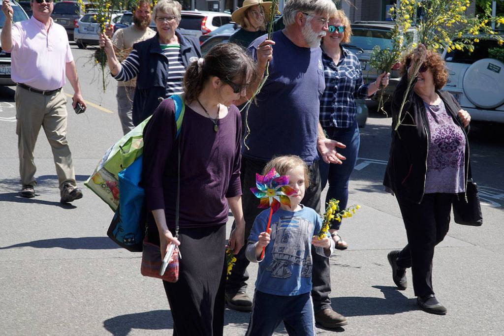Hail the Scotch Broom Queen | Photo gallery
