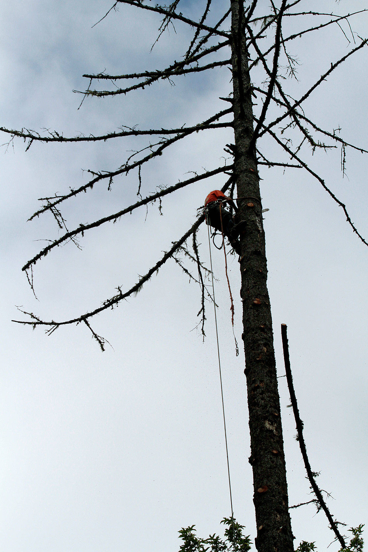 Look out below | Photo of the day 5.17