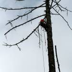 Look out below | Photo of the day 5.17