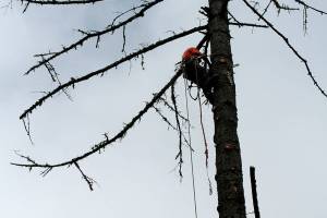Look out below | Photo of the day 5.17