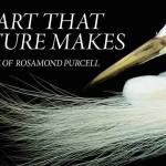 Image courtesy of Kino Lorber | An Art That Nature Makes, a documentary portrait of artist Rosamund Purcell, is the first slated screening in the Bainbridge Island Museum of Arts latest smARTfilms series.                                 Image courtesy of Kino Lorber | An Art That Nature Makes, a documentary portrait of artist Rosamund Purcell, is the first slated screening in the Bainbridge Island Museum of Arts latest smARTfilms series.