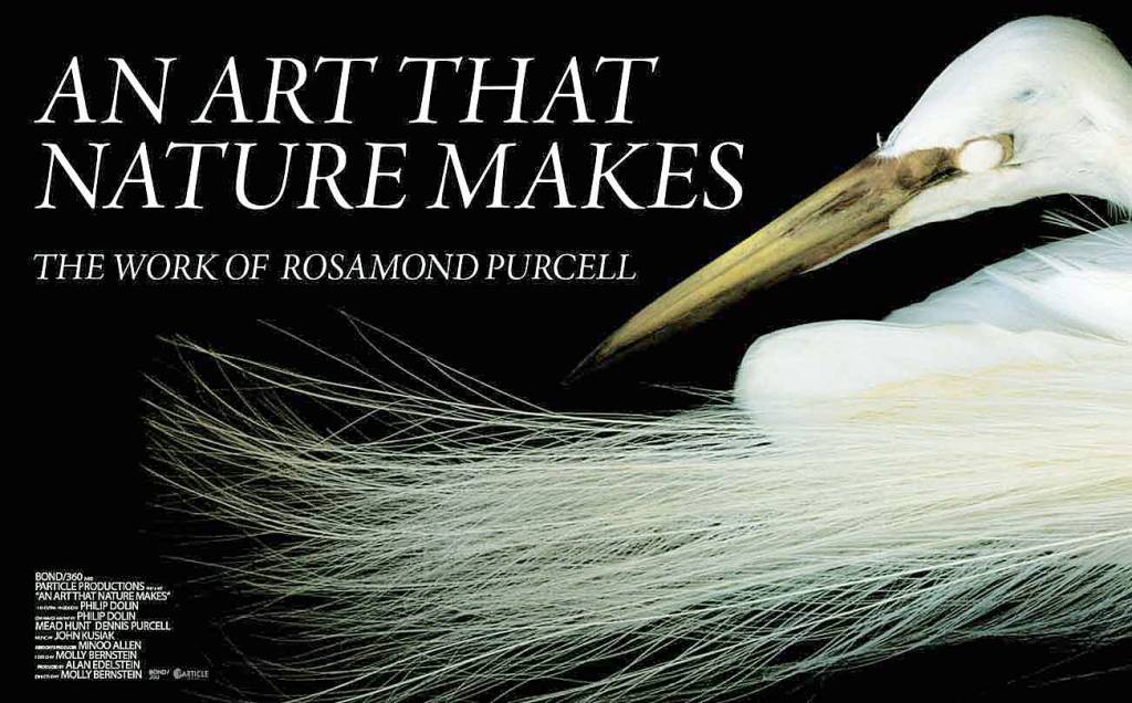 Image courtesy of Kino Lorber | An Art That Nature Makes, a documentary portrait of artist Rosamund Purcell, is the first slated screening in the Bainbridge Island Museum of Arts latest smARTfilms series.                                 Image courtesy of Kino Lorber | An Art That Nature Makes, a documentary portrait of artist Rosamund Purcell, is the first slated screening in the Bainbridge Island Museum of Arts latest smARTfilms series.