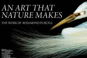 Film series examines ‘Women in Art’