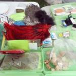 Snagging some fun at the youth fly fishing expo | Photo gallery