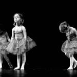 Take A Bow, Any Bow (Harry Longstreet photo)