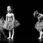 BI photographer wins Best of Show