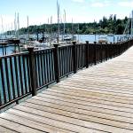 Eagle Harbor sunshine | Photo of the day 6.10