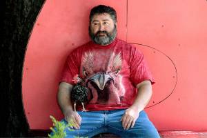 My fine-feathered friend | Photo of the day 6.16