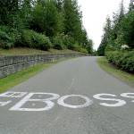 Who’s the Boss? | Photo of the day 6.21