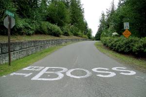 Who’s the Boss? | Photo of the day 6.21