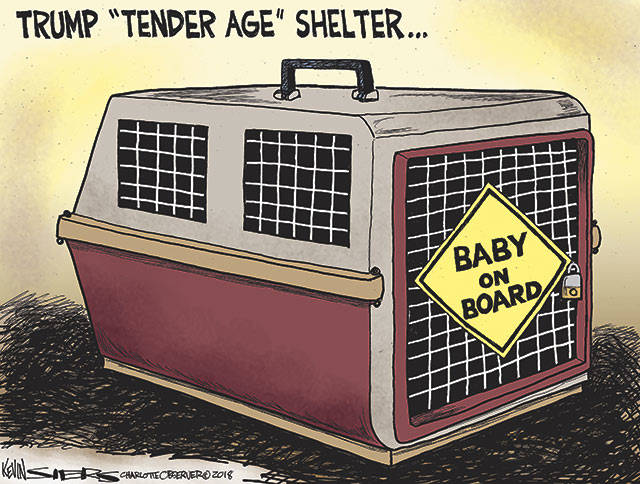 Trump’s 74th week in office | In cartoons