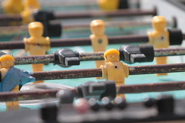 Going all out for the Rotary Auction | Photo gallery