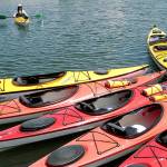 Room for one more | Photo of the day 6.26