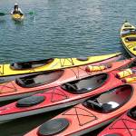 Room for one more | Photo of the day 6.26