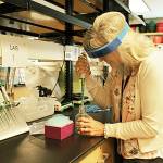 Bainbridge High School science teacher Charisa Moore in the lab. (Photo courtesy of the Bainbridge Island School District)