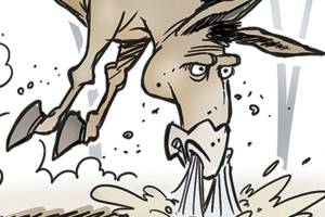 Today’s cartoon for Sunday, July 1