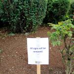 Exception to the rule | Photo of the day 7.2