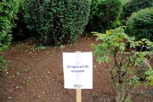 Exception to the rule | Photo of the day 7.2