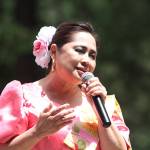 2018 Strawberry Festival | Photo gallery