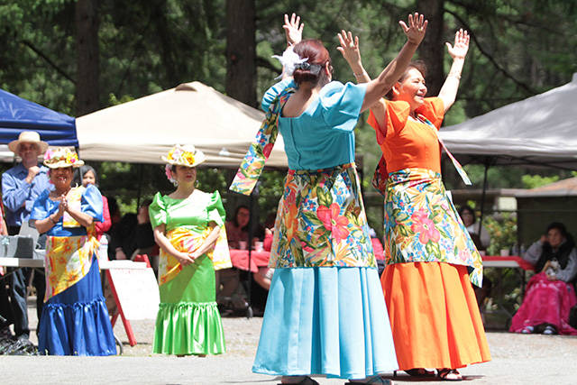 2018 Strawberry Festival | Photo gallery
