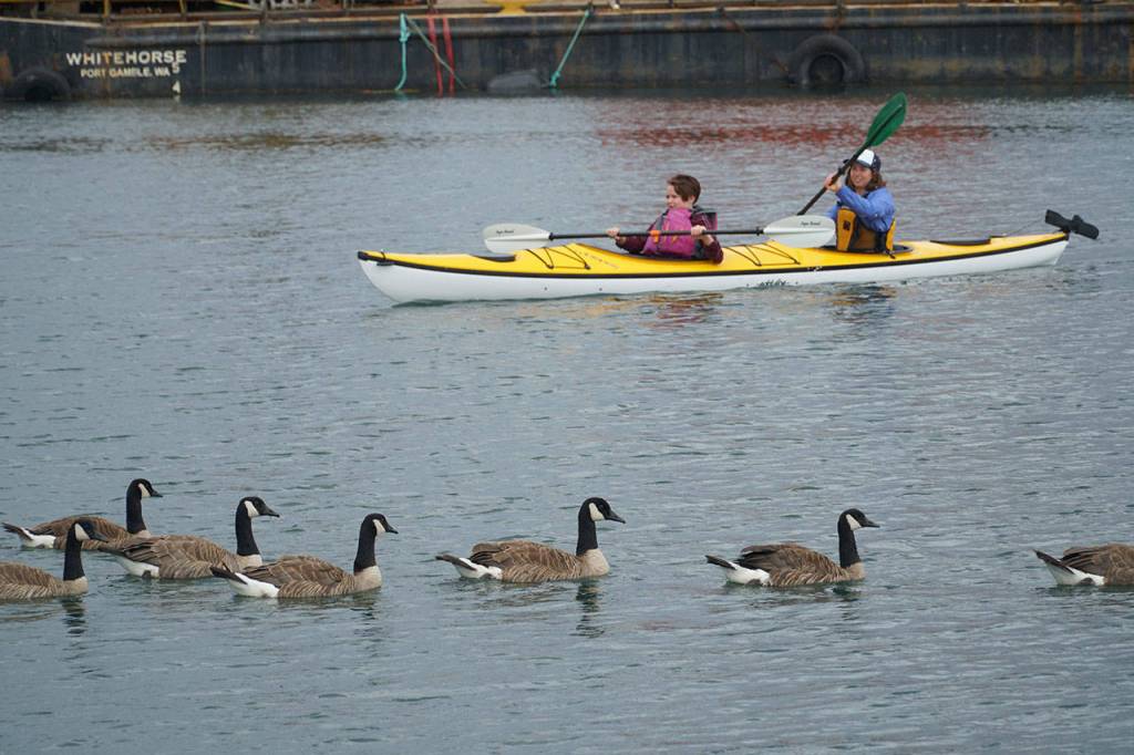 Safe, splashy summer staple: Boaters Fair returns to downtown dock | Photo gallery