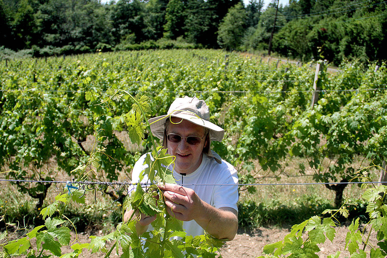 Grape expectations | Photo of the day 7.5