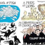 Trump’s 76th week in office | In cartoons