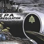 Trump’s 76th week in office | In cartoons