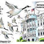 Trump’s 76th week in office | In cartoons