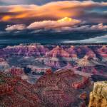 Scenic scenes, pretty birds big winners at BI Photo Club show