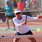 Book, seminar seek to educate, initiate pickleball enthusiasts