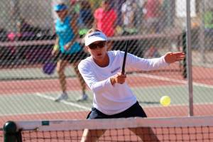 Book, seminar seek to educate, initiate pickleball enthusiasts